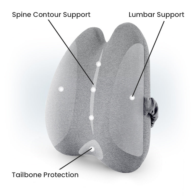 Contour Lumbar Cervical Back Cushion